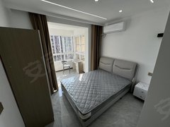 南通崇川唐闸万达广场旁 天安数码城 南通理工学院 十里坊地铁口 大润发出租房源真实图片