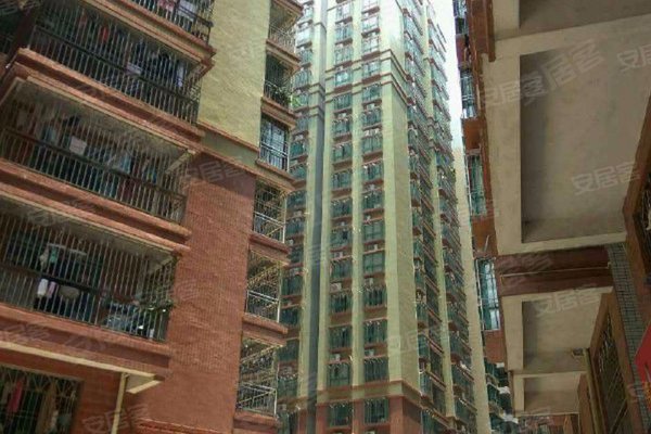 深圳小区 龙岗小区 丹竹头小区 金龙花园 金龙花园怎么样发布于2021年