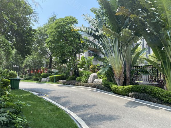 东莞塘厦大坪观澜碧桂园观澜碧桂园 81平两房 高楼层 家私电齐全 看