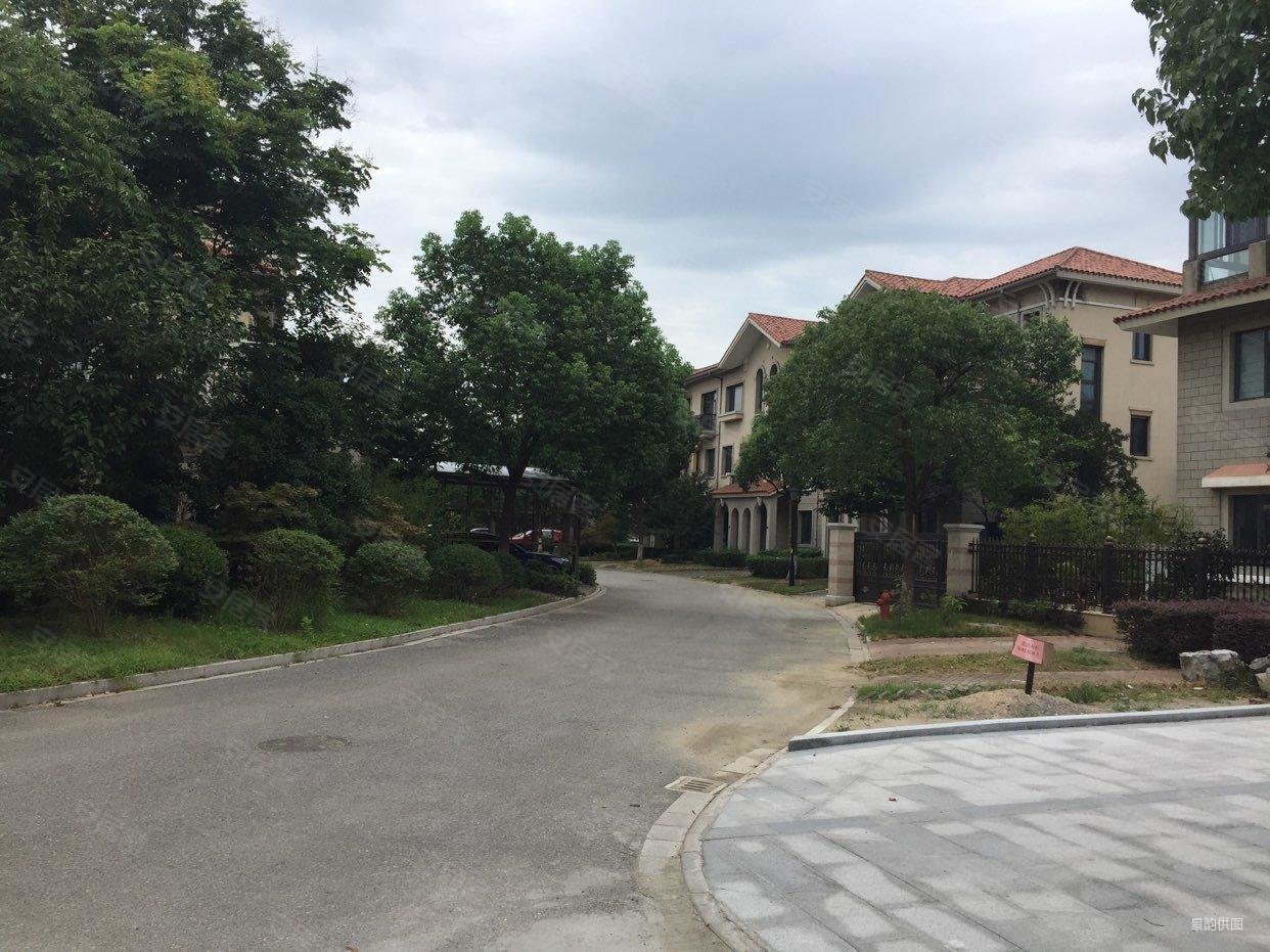 太湖临湖湾腾飞路605号4室2厅4卫19985平方米