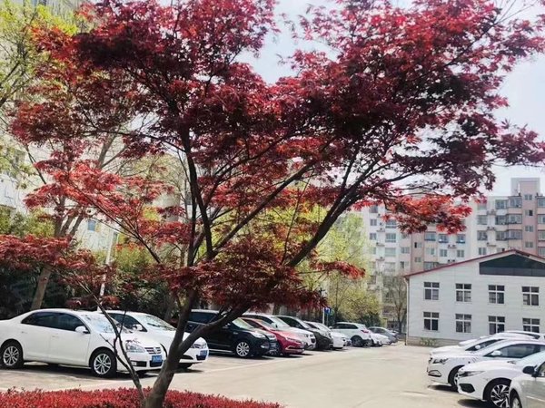免中介jie费210公交商贸城滨河公园附近精装一居