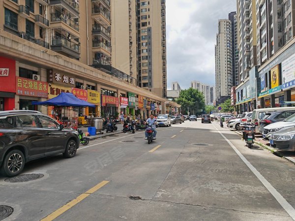 惠州仲恺惠环华邦首府惠环 轻轨口 华邦首府 朝南3室2卫 漂亮精装修