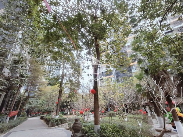 南宁兴宁区政府大嘉汇东城大嘉汇3房2厅中装修1900元出租房源真实图片