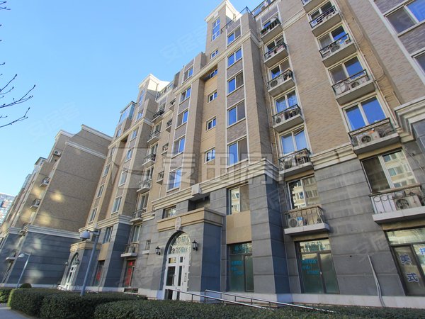 北京朝阳大望路金港国际3室2厅  金港国际出租房源真实图片