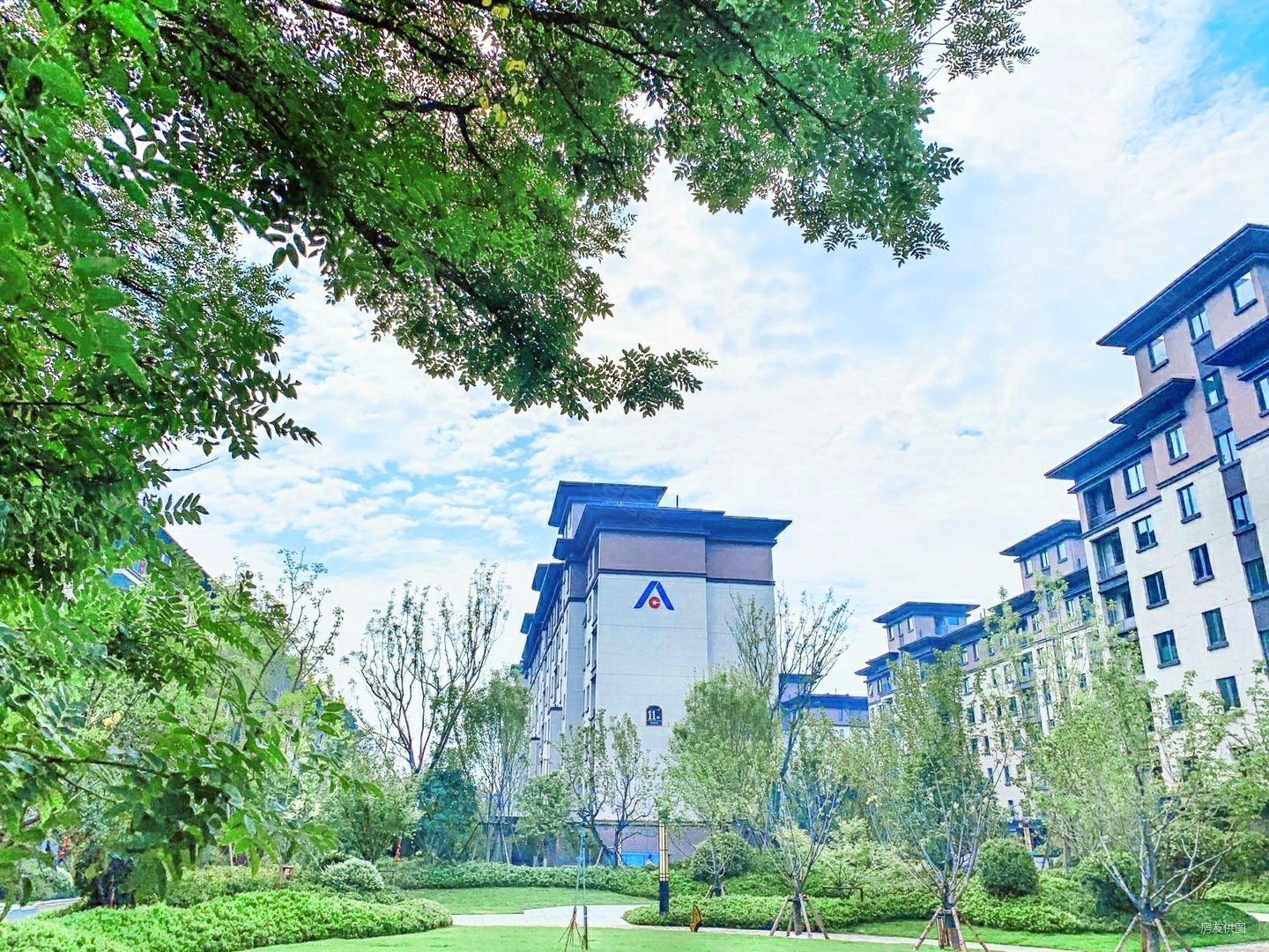 郑西联盟新城三四期