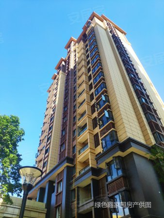 梧桐郡大三房高层只卖低层价 采光一级棒 全朝南