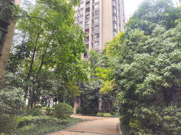 【多图】美泉1612,凤岭北租房,东站附近 园林小区 单间 随时看房,青秀