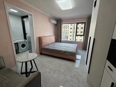 月租房 东湖一号 电梯精装单身公寓 押一付一2300 带空调