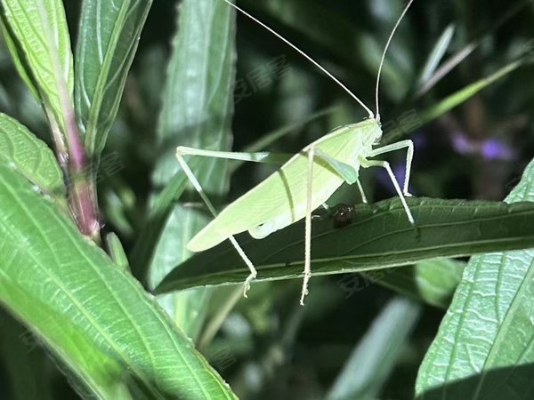 泉州丰泽北峰山水秋鸣山水秋鸣 3室2厅2卫出租房源真实图片
