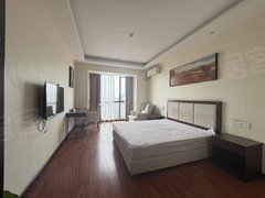 乐山市中高铁站时代青江 一室一厅 挨着世豪万达 干净整洁 可短租月付出租房源真实图片