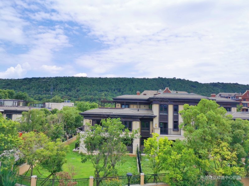 驿山高尔夫联排别墅 上下四层 送前后花园送地下室 随时可看