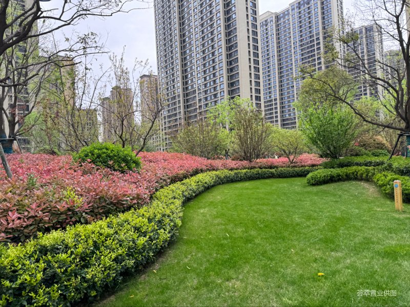 草滩 绿城桂语澜庭 三室两厅一卫 诚心出售,绿城桂语兰庭二手房,150万