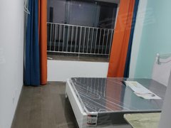 芜湖鸠江双城广场城北公寓附近新里城合租房主卧带卫生间房源出租房源真实图片
