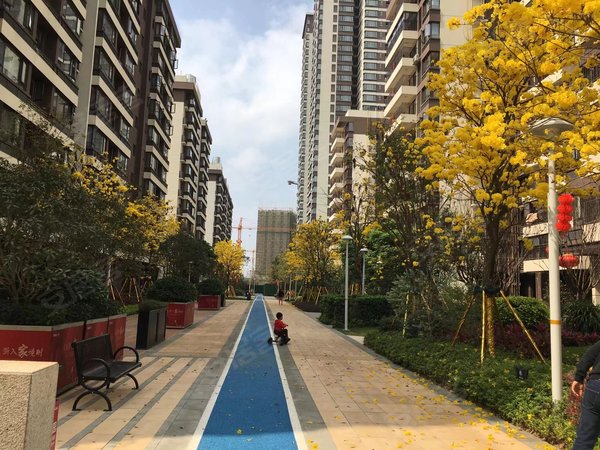 南宁江南沙井大道万科悦江南万科悦江南 4室2厅2卫出租房源真实图片