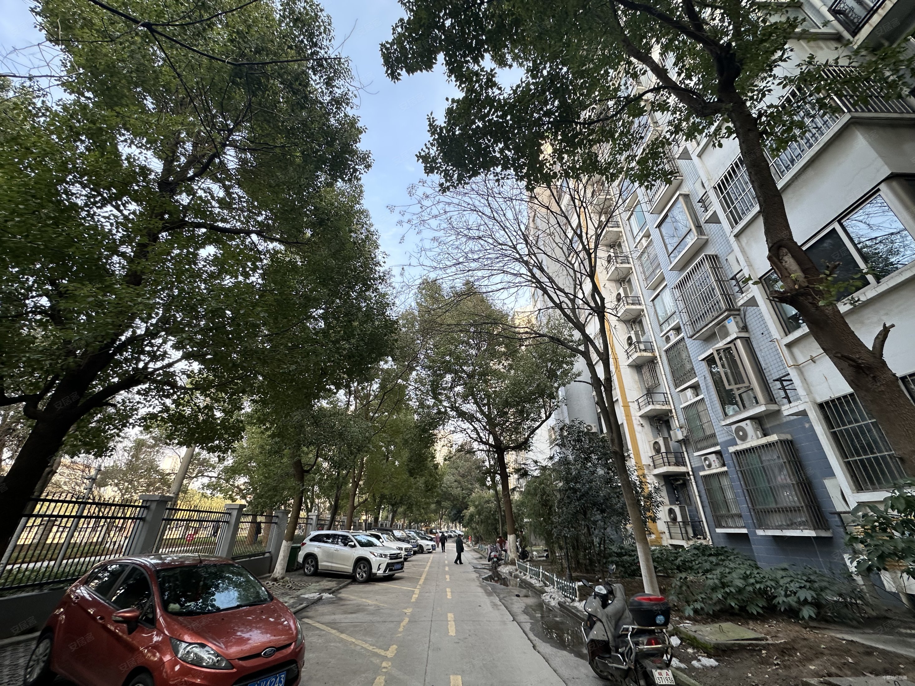 双卫格局 小区绿化高 商业配套齐全 南北通透 中间楼层,翠竹园c区二手