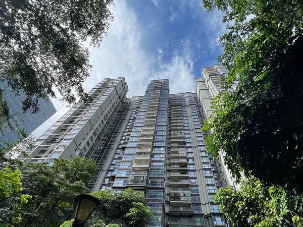 深圳光明光明新地中央新地中央花园82平精装2房出租出租房源真实图片