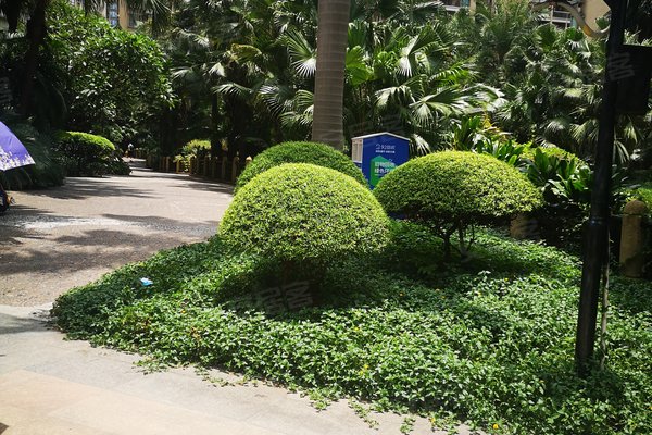 广州小区 黄埔小区 科学城小区 新福港鼎峰