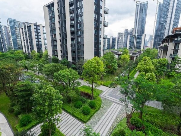 深圳南山华侨城香山美墅(别墅)香山美墅独栋别墅,带电梯1500平实用,11