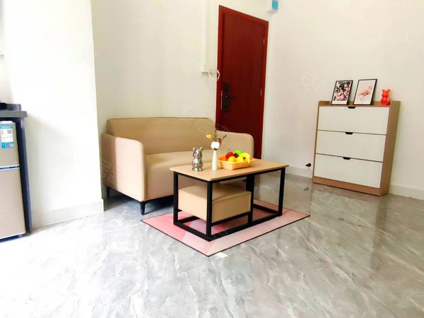 深圳宝安桃源居鹤洲村鹤洲村 1室1厅1卫 精装修 电梯房 南北通透出租