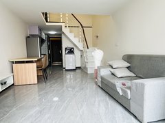 合肥新站陶冲湖新站广场F座朝南精装两室出租 两台空调家电家具齐全 拎包入住出租房源真实图片