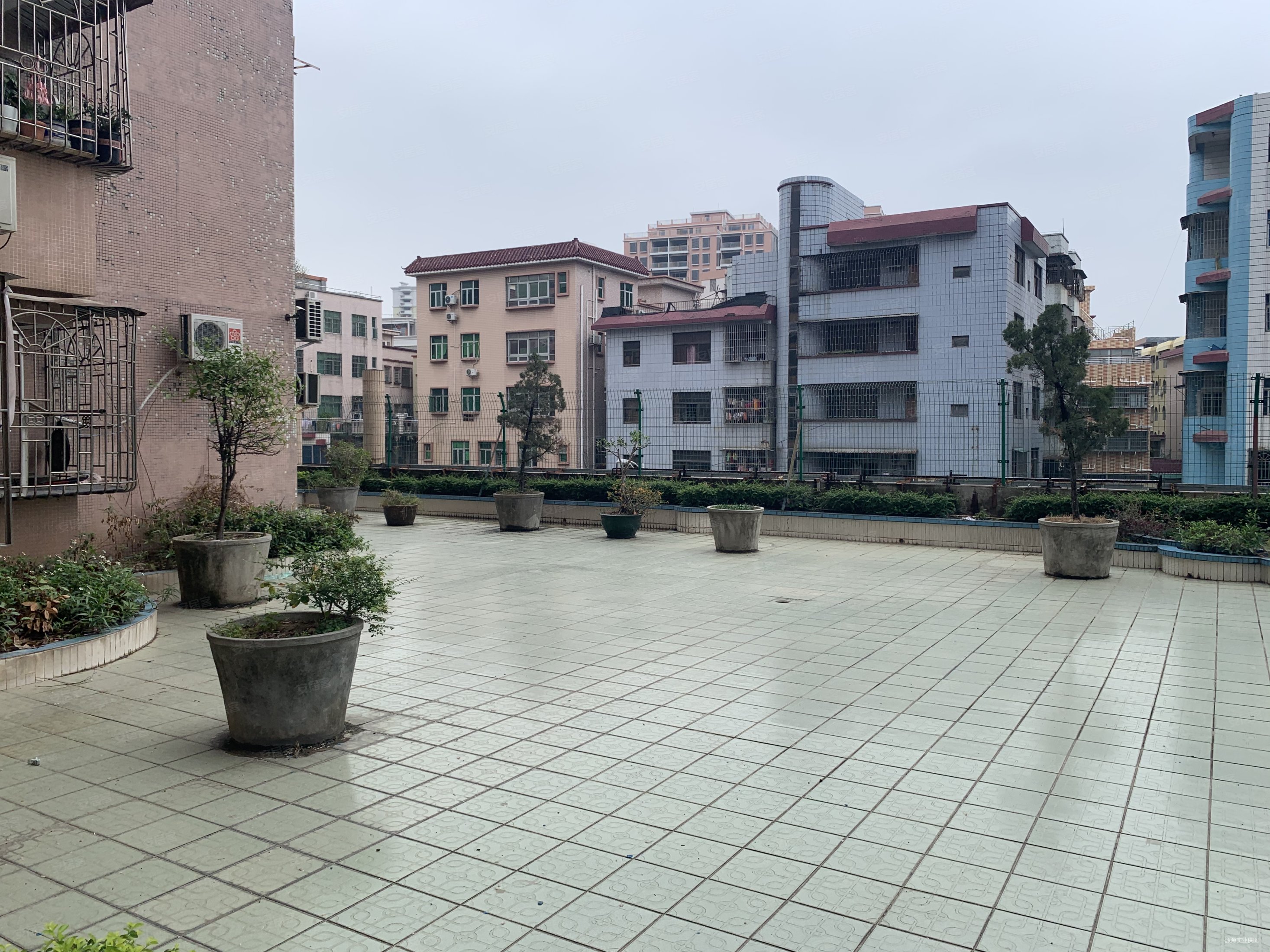 还可优惠15万红荔花园满五配套齐全南北通透