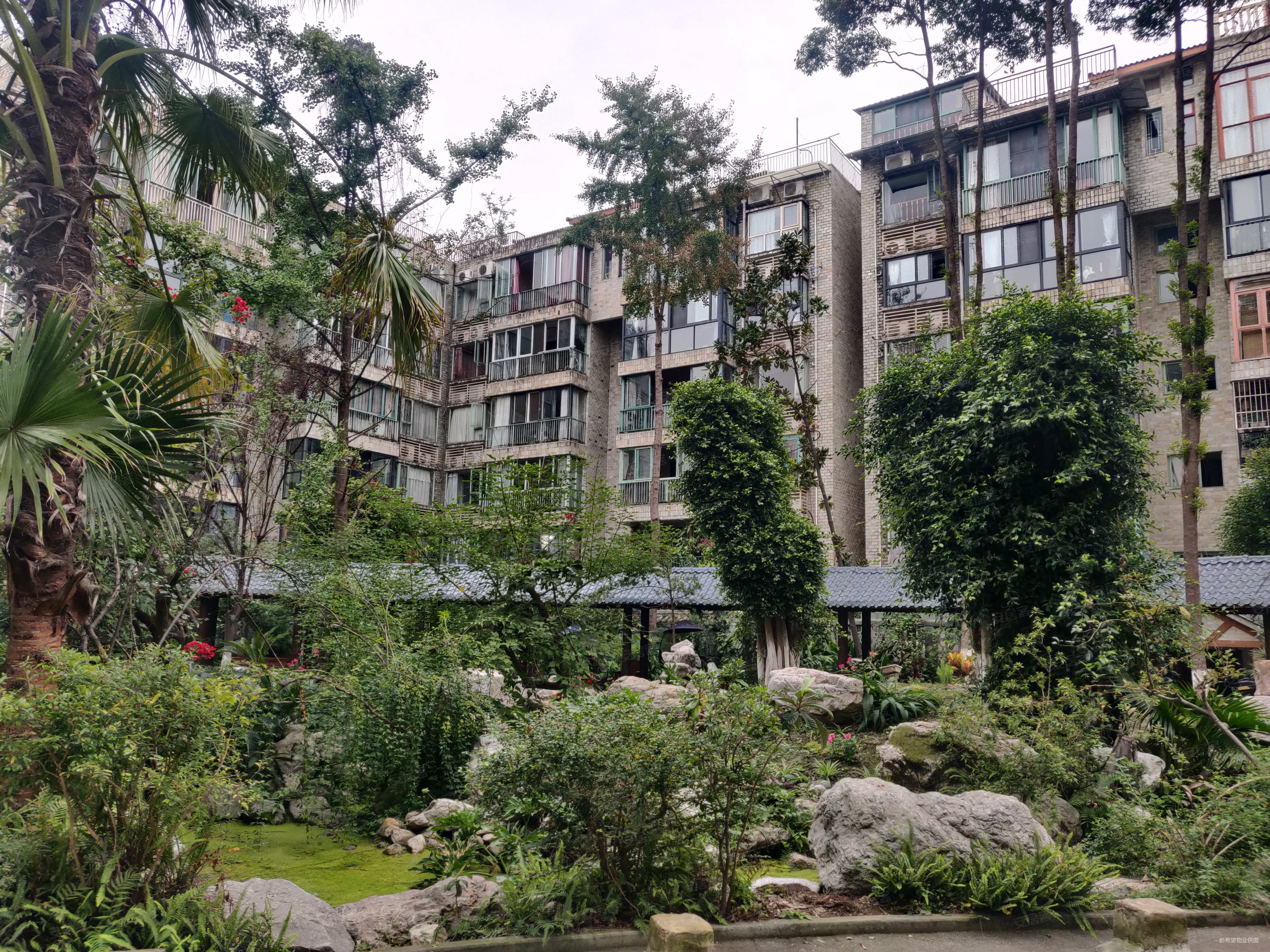 西区花园花园洋房3室2厅2卫118㎡南北115万