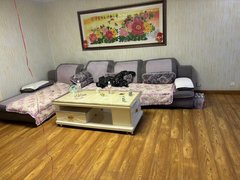 张北张北镇张北城区平米小区，1楼，周边配套，3中，1中，出租房源真实图片