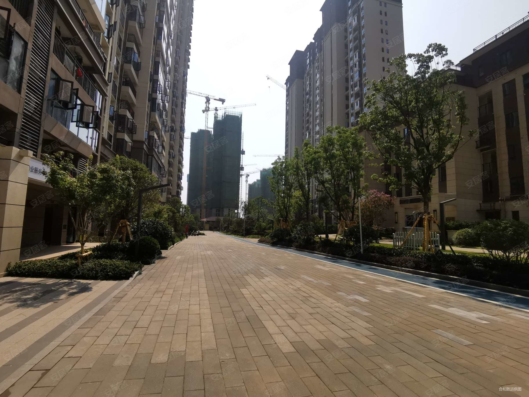 119平3室2厅电梯房光谷学府房东急置换诚意卖房