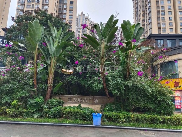 重庆合川合川宝龙城市广场宝龙城市广场宝龙商业中心 近财富 校园