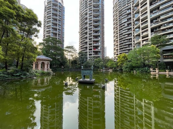 深圳龙华民治圣莫丽斯圣莫丽斯新出大4房,朝花园安静,业主急租,价格