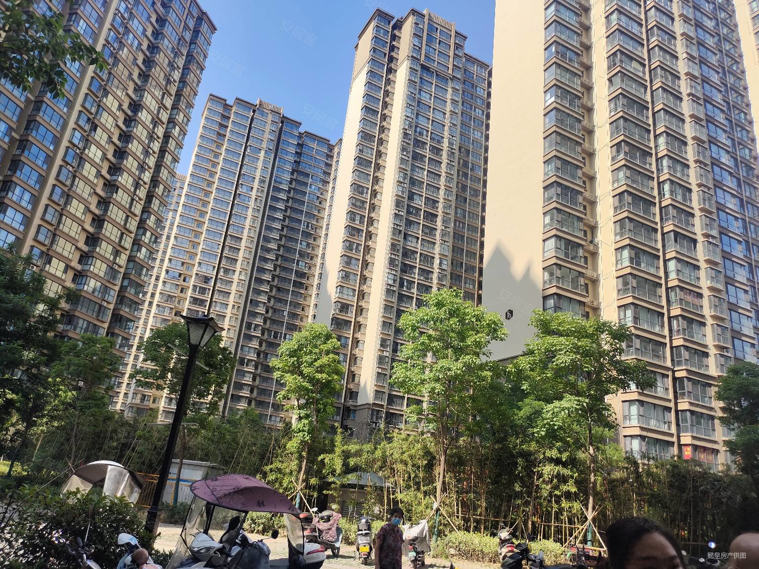 洛浦公园上阳城电梯双气毛坯大3房单价7x0诚心出售