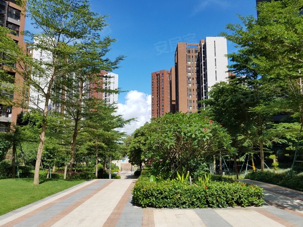 珠海斗门白蕉万科魅力之城第一次出租 南向 中高层 房子很新出租房源