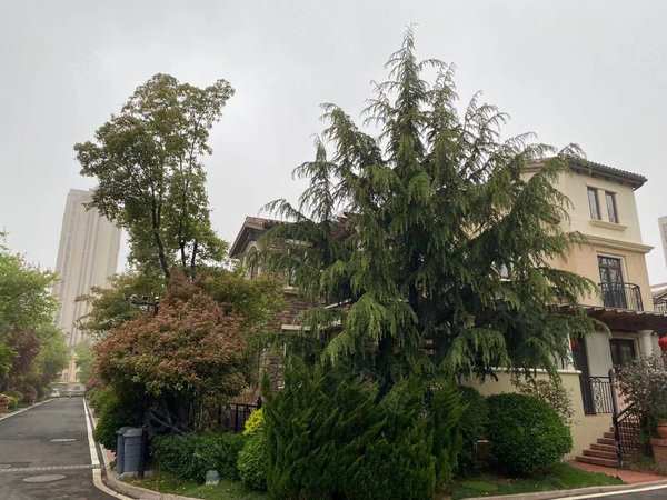 【多图】龙湖滟澜海岸(16号别墅),流亭租房,独栋别墅!精装好房!