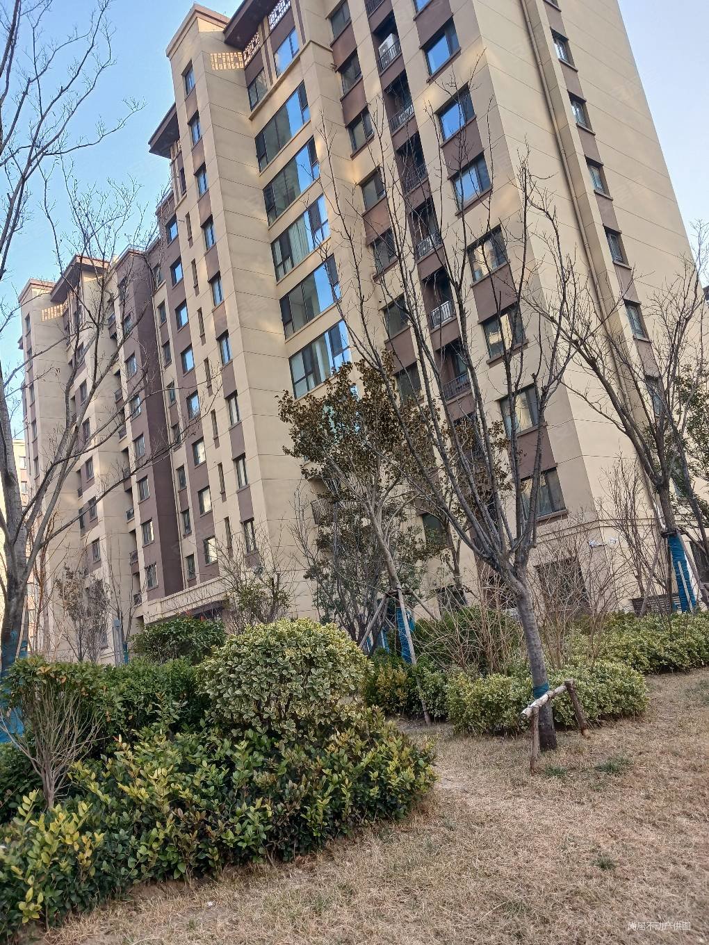 潍坊绿地城3室2厅2卫129㎡南北80.5万