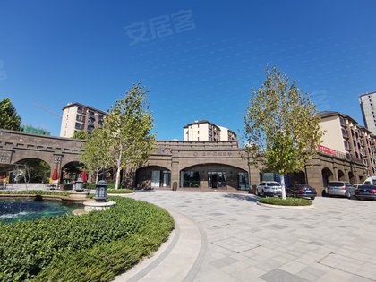 大华国展公园世家