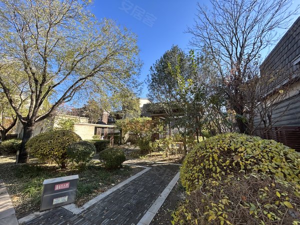 北京顺义中央别墅区龙湾别墅初次出租!实拍实价!顺义后沙峪青苗isb!