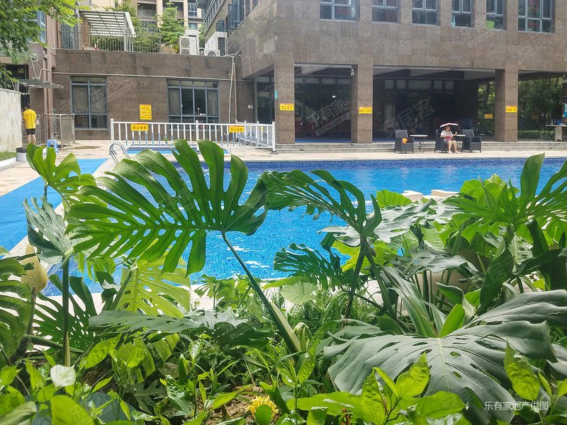 招商澜园满五   红本在手 户型采光通风 业主诚心放卖