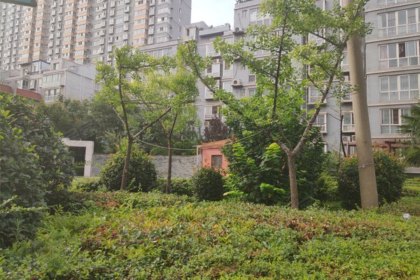 中华苑,中华西路,近彩虹二路 - 咸阳中华苑二手房,租房,房价-咸阳安居