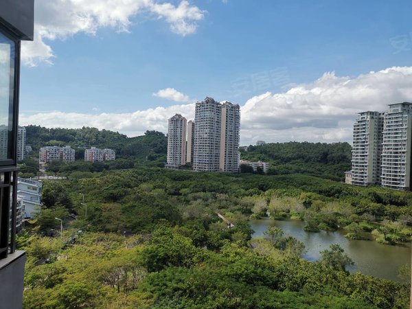 三亚吉阳凤凰路南段天泽湖畔丹州小区市场旁 天泽湖畔 精装两房 中高