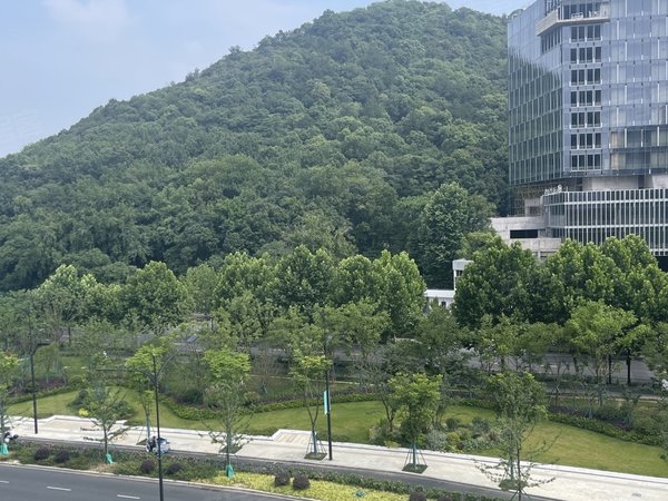 杭州西湖古荡龙都大厦古荡新村地铁口精装好房出租,独立厨卫朝南阳台