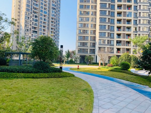 重庆巴南界石御华兰亭(二期)出租御华兰亭,精装两房,全新装修,拎包