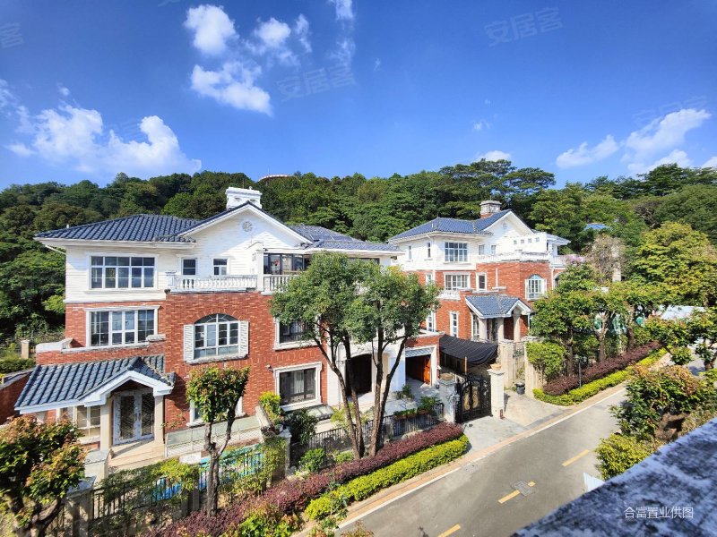 新合生帝景山庄  产权清晰 双入户 五车位 纯别墅区燕姐首推