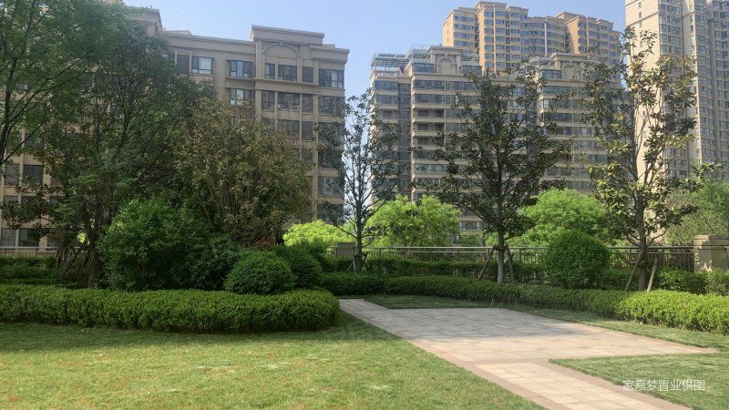 曲江 阳光城紫金城 3室2卫132平249w 小高采光视野好