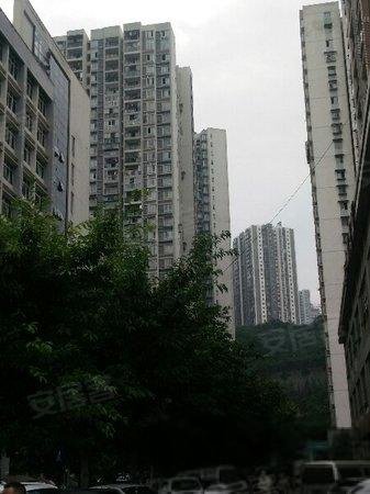 重庆沙坪坝,环线站 电梯两房带凤小