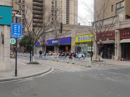 雅居乐国际花园,天目山西路,近闲富路 - 杭州雅居乐国际花园二手房