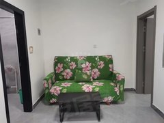 定西安定安定城区欧康A 一室一厅一厨一卫 精装修 随时入住出租房源真实图片