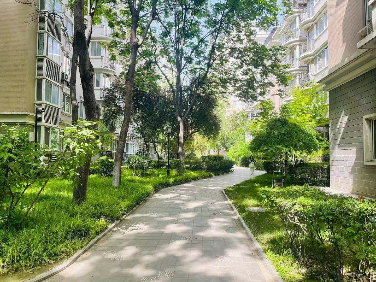 枫叶新都市二小一中本部承诺赔付3楼不临街证在手