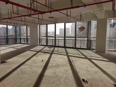 宁波江北日湖星湖湾大平层 适合工作室 摄影 直播 瑜伽 健身 随时看房出租房源真实图片