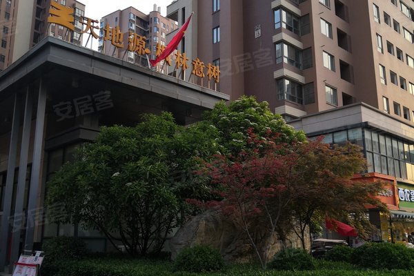 天地源枫林意树