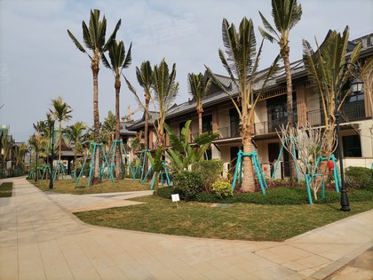 不足,曼掌院墅怎么样,曼掌院墅周边房产中介经纪人评价-西双版纳安居